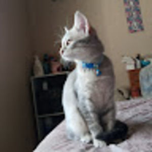 Meet your Posher, Kay